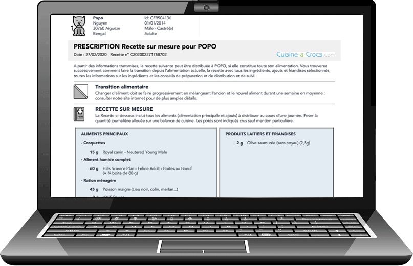 recette pour un chat cuisine-a-crocs laptop